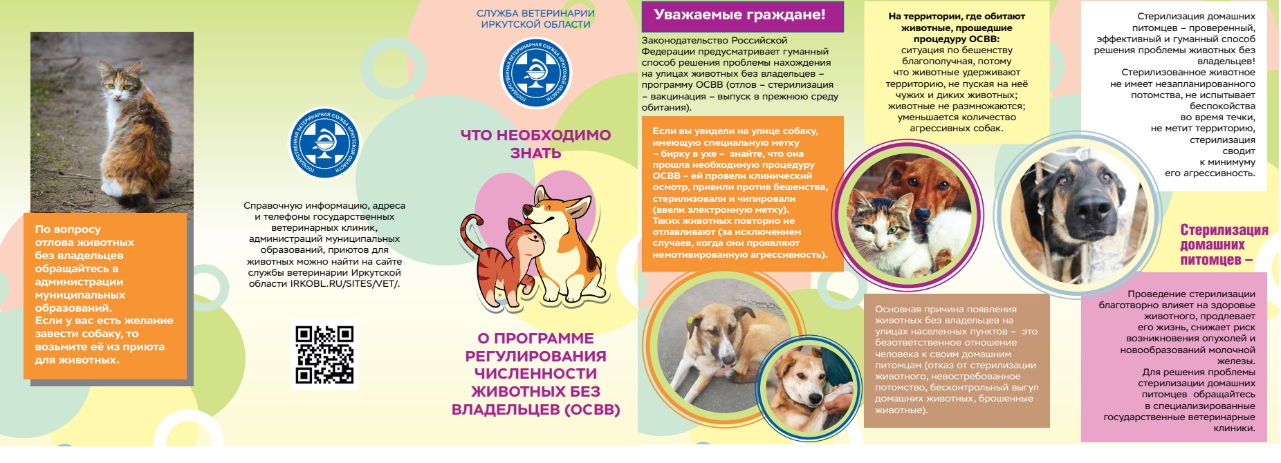 Изображения.